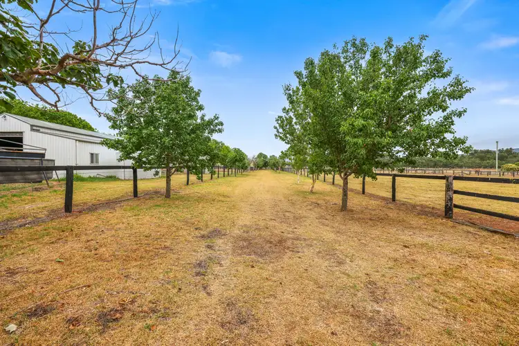 Sixth view of Homely rural property listing, 164 Upper Dartbrook Road, Scone NSW 2337