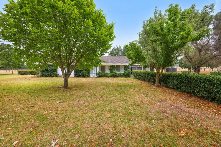 Seventh view of Homely rural property listing, 164 Upper Dartbrook Road, Scone NSW 2337