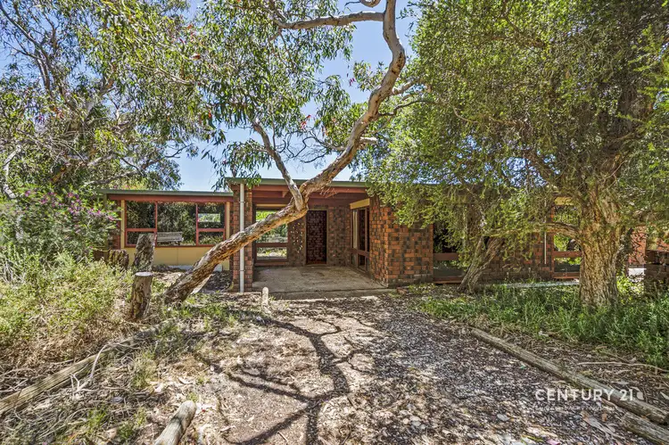 51 Acacia Terrace, Aldinga Beach SA 5173