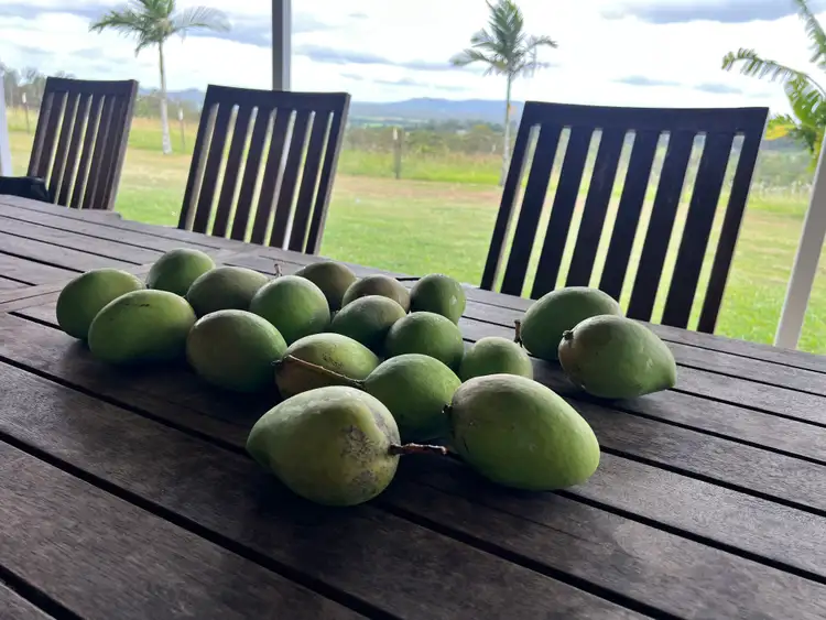 Sixth view of Homely rural property listing, 905 Mary Valley Road, Lagoon Pocket QLD 4570