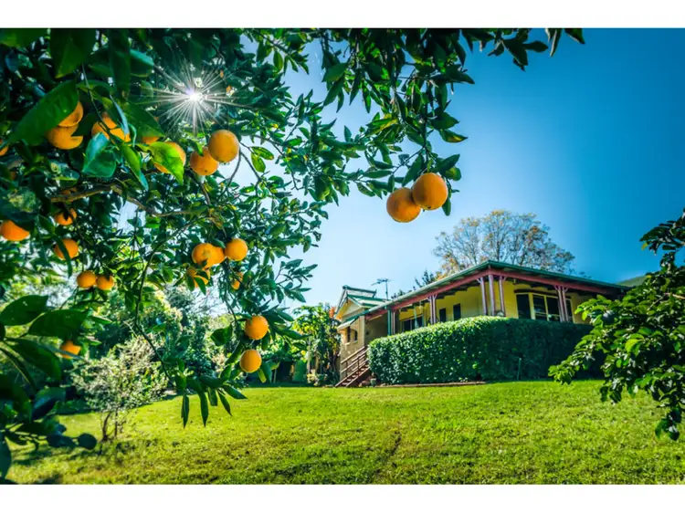 34a dowle Street, Bellingen NSW 2454