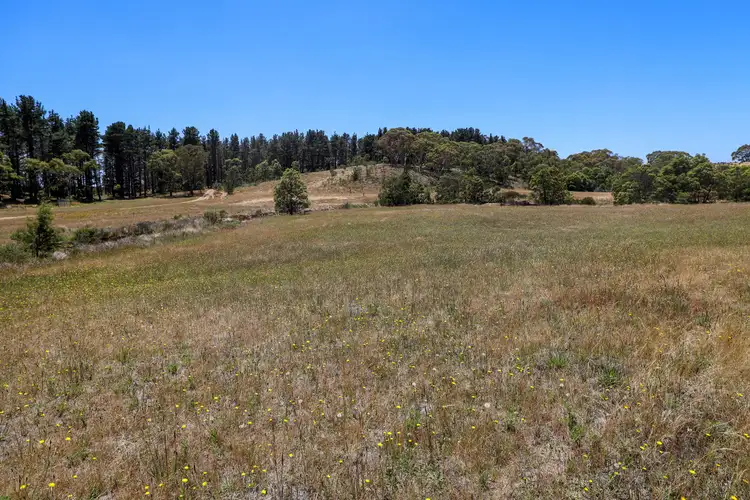 Seventh view of Homely rural property listing, 32 Hush Road, Windellama NSW 2580