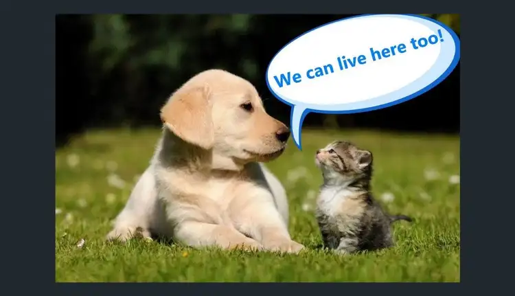 Fifth view of Homely house listing, 27 Godfrey Road, Artarmon NSW 2064