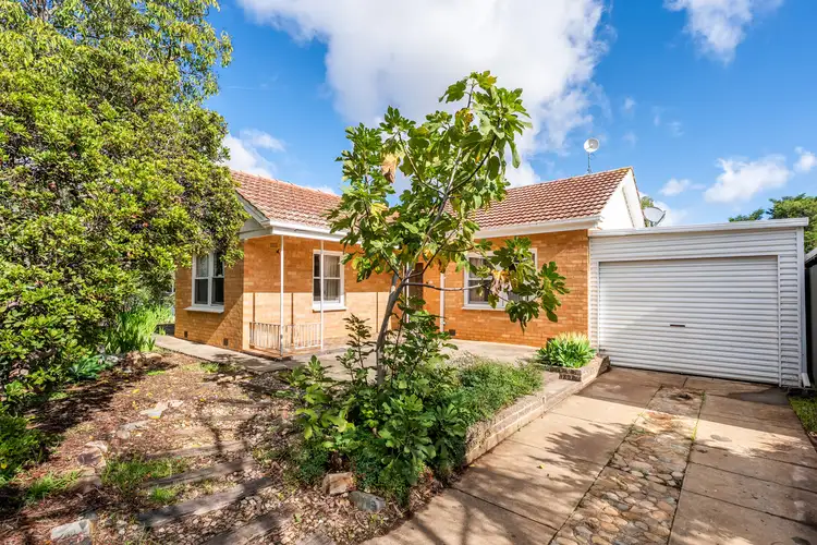 18 Hibiscus Street