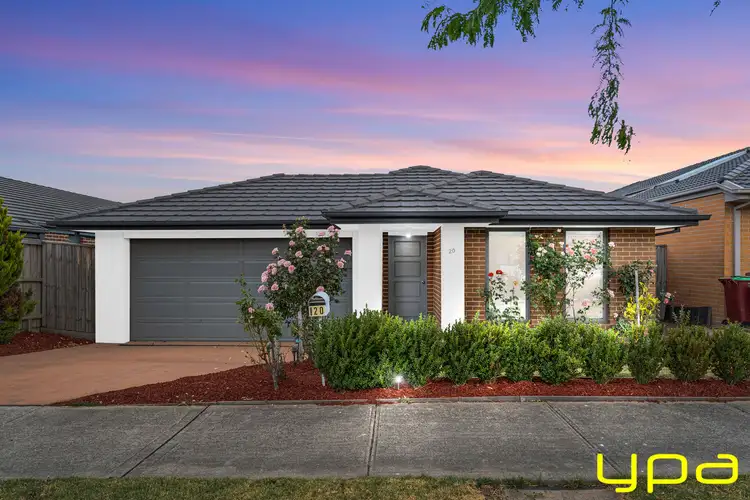 20 Abundance Circuit