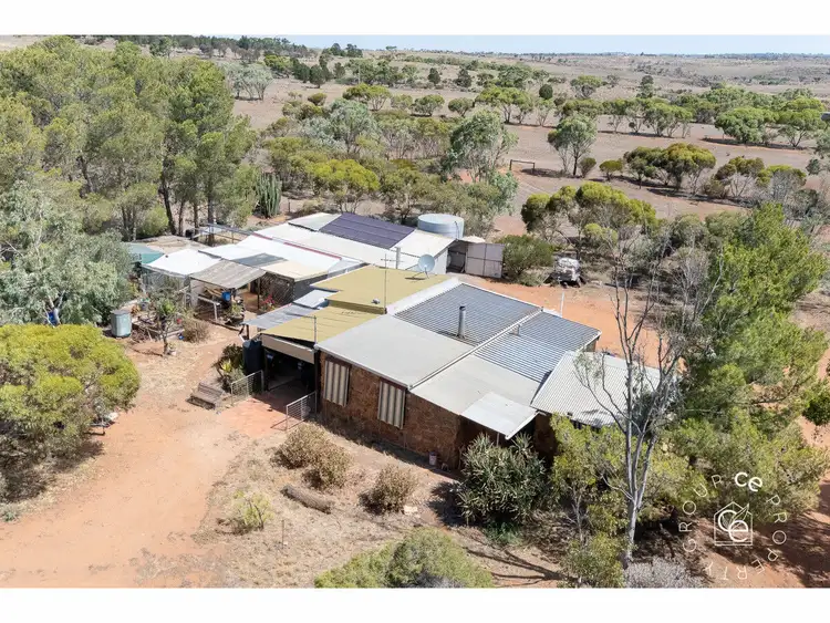 444 Panican Hill Road