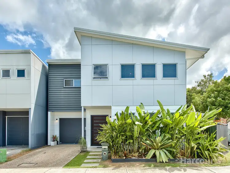 26 Beagle Street