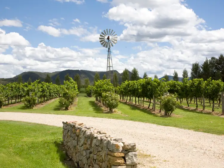 Main view of Homely rural property listing, LOT 1 Putty Road, Milbrodale NSW 2330