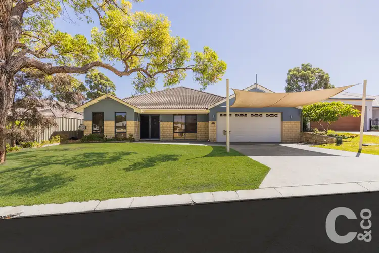 6 Nursling Chase