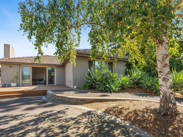 40 Wilsons Road