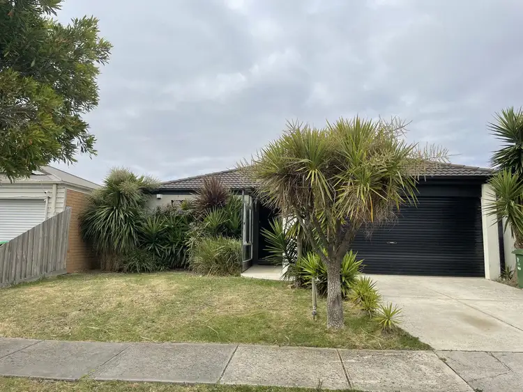 33 Ebony Street