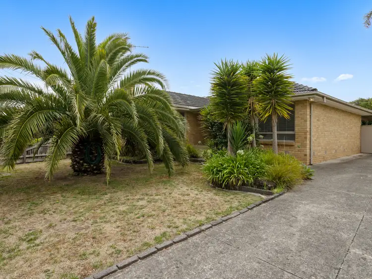 12 Toagara Street