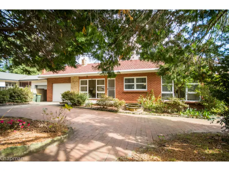 103 Glenbrook Road, Blaxland NSW 2774