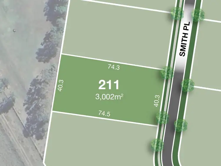 Address available on request