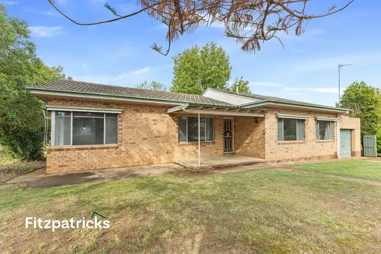 7 White Avenue