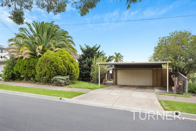 16 Treefern Avenue