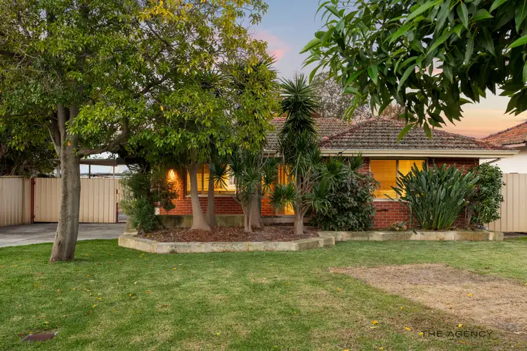 3 Comino Street