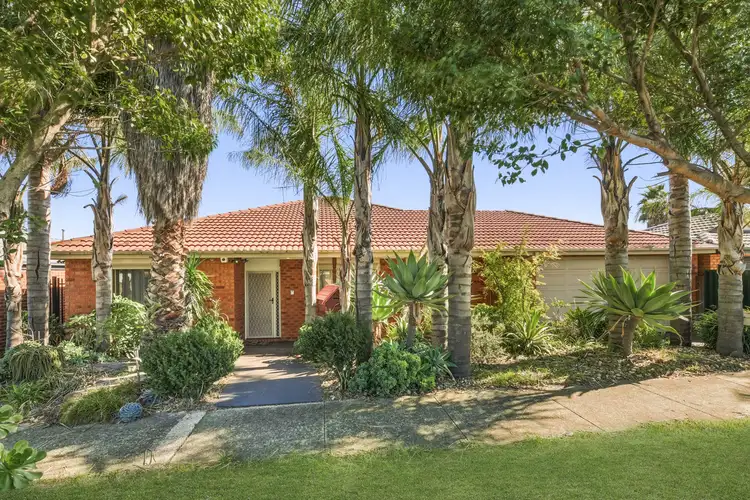 17 Nirringa Drive