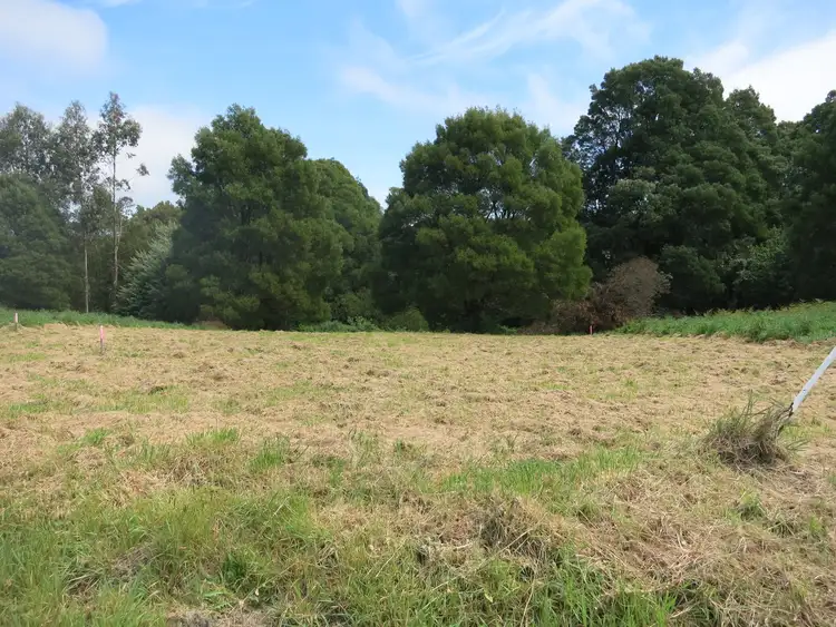 Main view of Homely land listing, 20 Dehnerts Track, Beech Forest VIC 3237