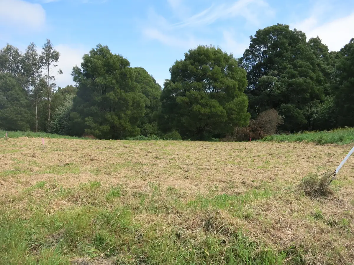 Main view of Homely land listing, 20 Dehnerts Track, Beech Forest VIC 3237