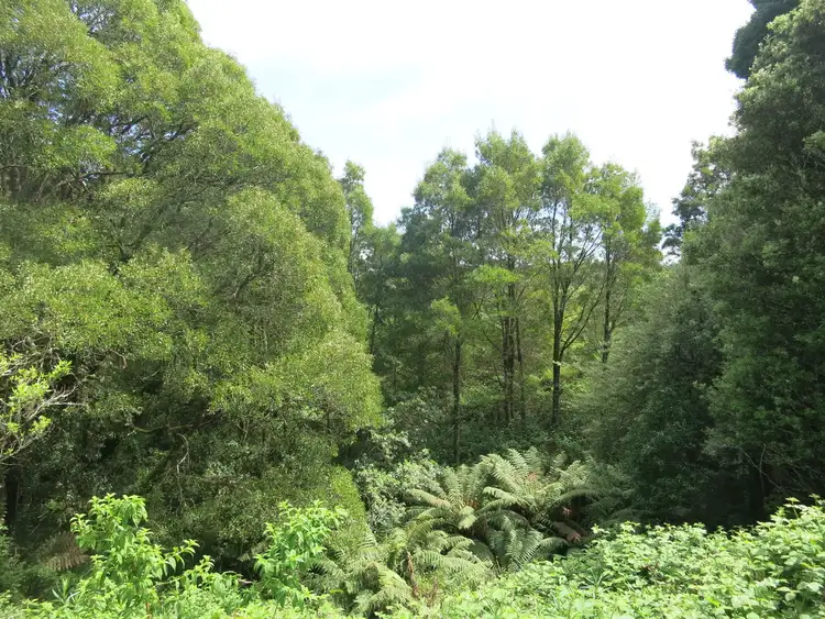 Fourth view of Homely land listing, 20 Dehnerts Track, Beech Forest VIC 3237