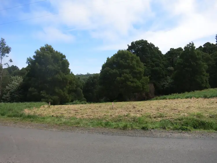 Fifth view of Homely land listing, 20 Dehnerts Track, Beech Forest VIC 3237