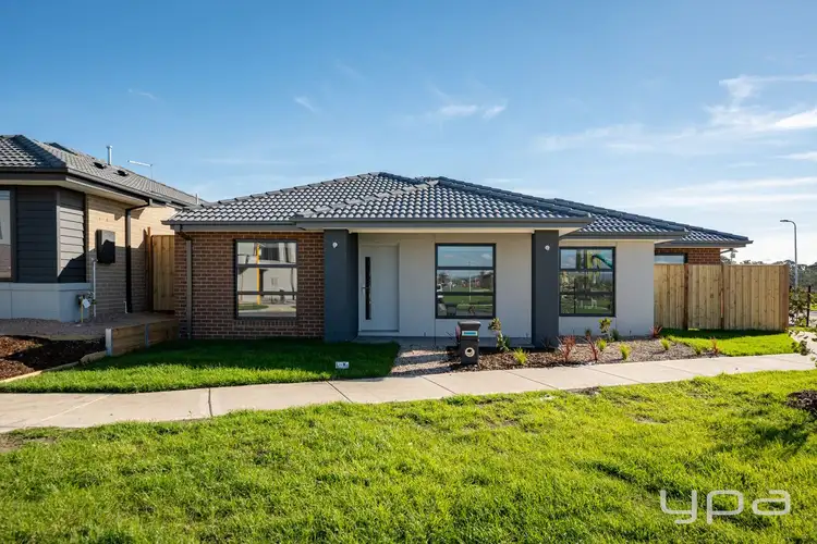 8 Beewar Street