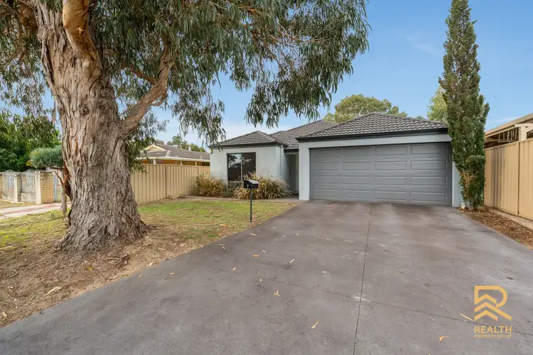 7 Potoroo Place