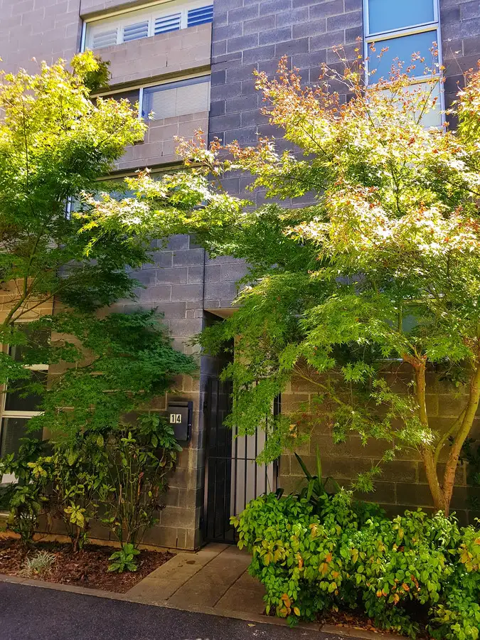 14 Todd Place