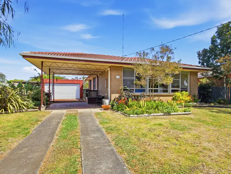 16 Treloar Street