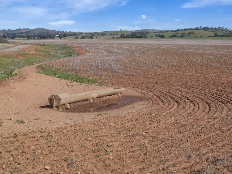 LOT 25 Brownlow Road, Neales Flat SA 5374
