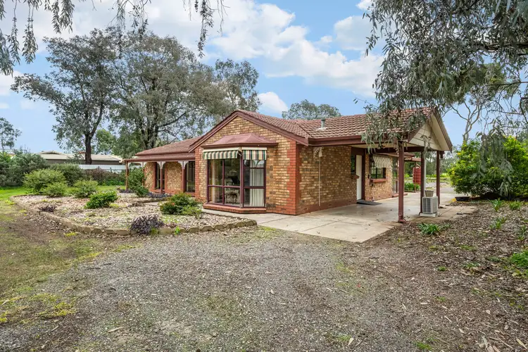13 Wyatt Road