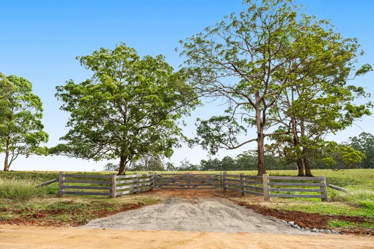 Jonas Road