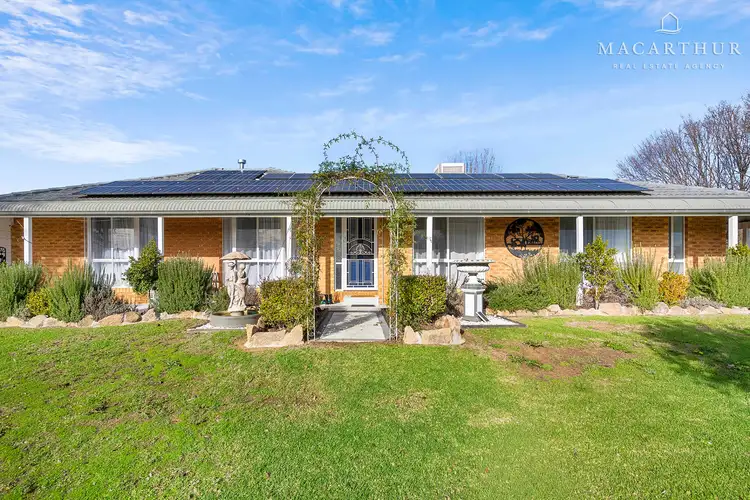 20 Kurrajong Avenue