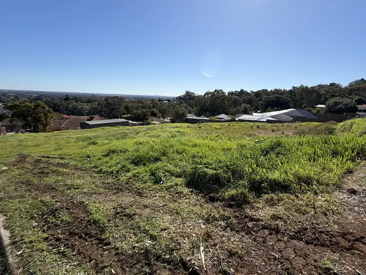 4 Chardonnay Grove
