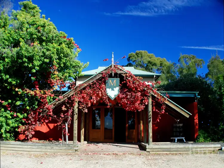 Main view of Homely rural property listing, 95 Deasys Road, Pokolbin NSW 2320