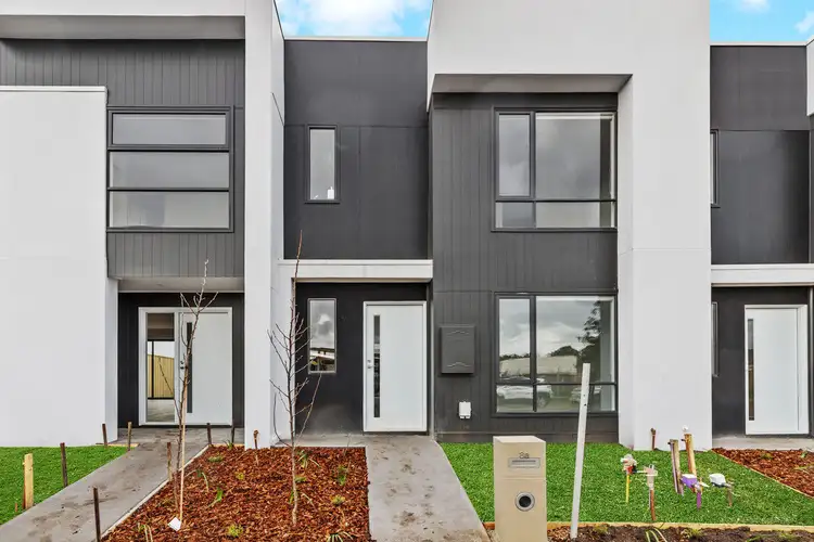 8a Nelson Street
