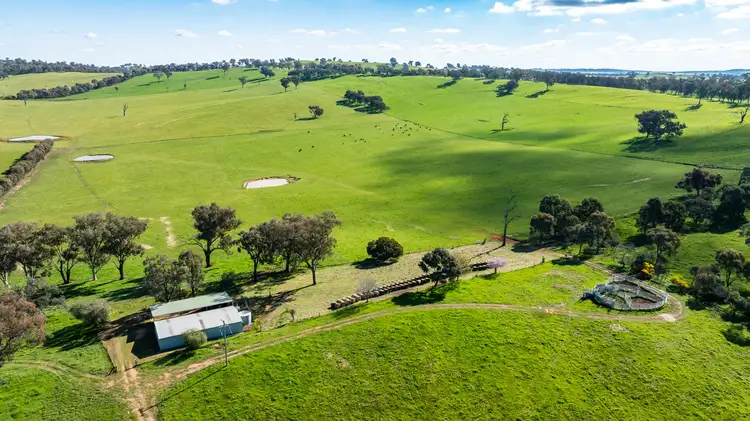 295 Hovell Road
