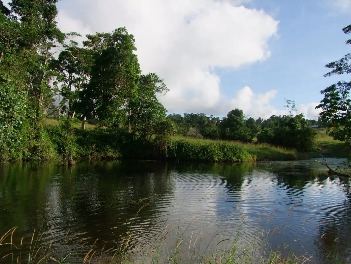 Main view of Homely rural property listing, Address available on request