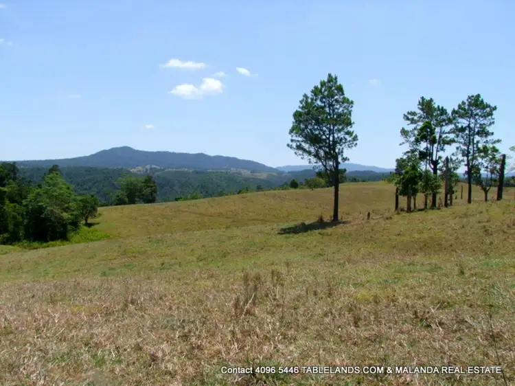 Main view of Homely rural property listing, F1109 131L Junction Rd (Palmerston Highway), Mungalli QLD 4886