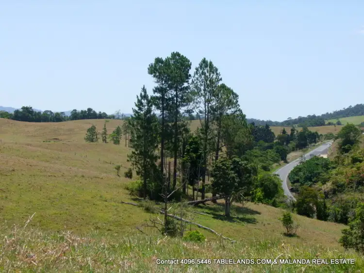 Second view of Homely rural property listing, F1109 131L Junction Rd (Palmerston Highway), Mungalli QLD 4886