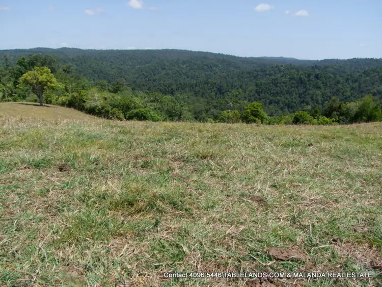 Fourth view of Homely rural property listing, F1109 131L Junction Rd (Palmerston Highway), Mungalli QLD 4886
