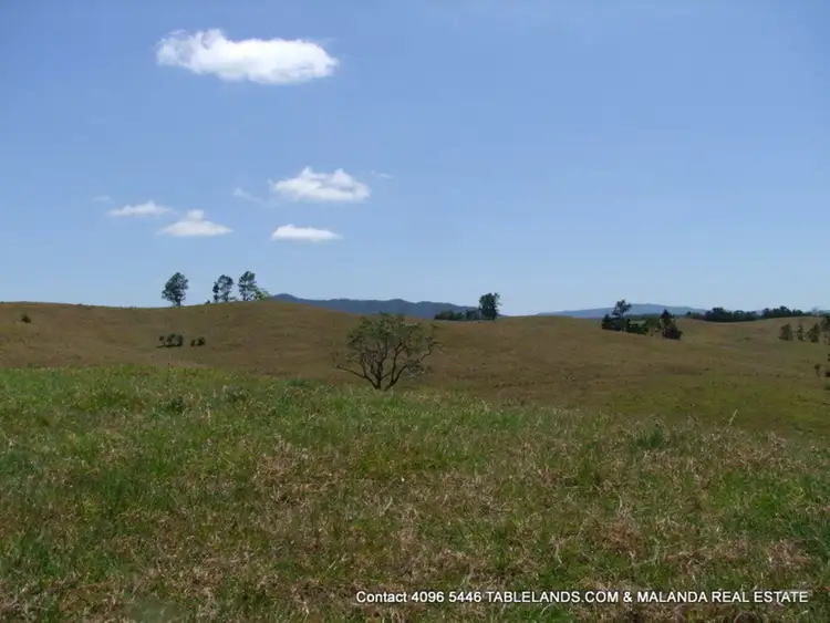 Seventh view of Homely rural property listing, F1109 131L Junction Rd (Palmerston Highway), Mungalli QLD 4886