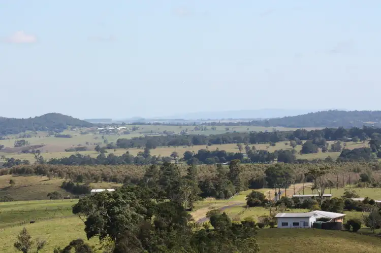 Main view of Homely rural property listing, RR1107 RN 917 TOPAZ Road, Butchers Creek QLD 4885
