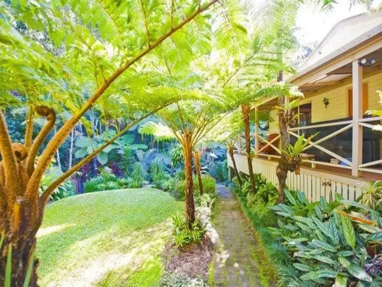 Third view of Homely house listing, 24 Chevell Place, Uki NSW 2484