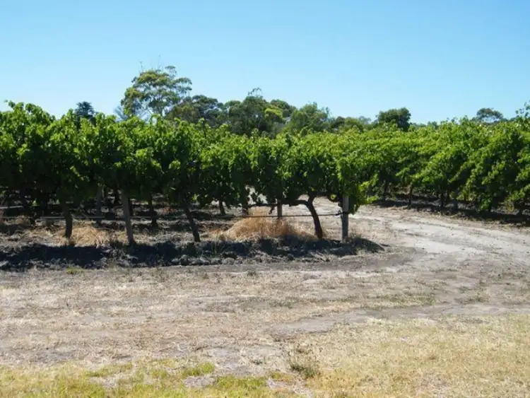 Second view of Homely rural property listing, Lot 300 Little Road, Willunga SA 5172