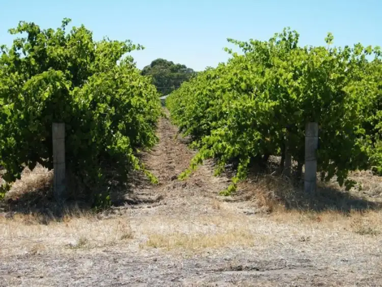 Third view of Homely rural property listing, Lot 300 Little Road, Willunga SA 5172