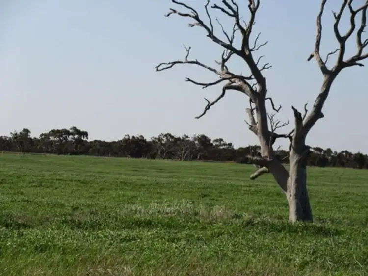 Fourth view of Homely land listing, Section 54 Finniss Milang Road, Finniss SA 5255