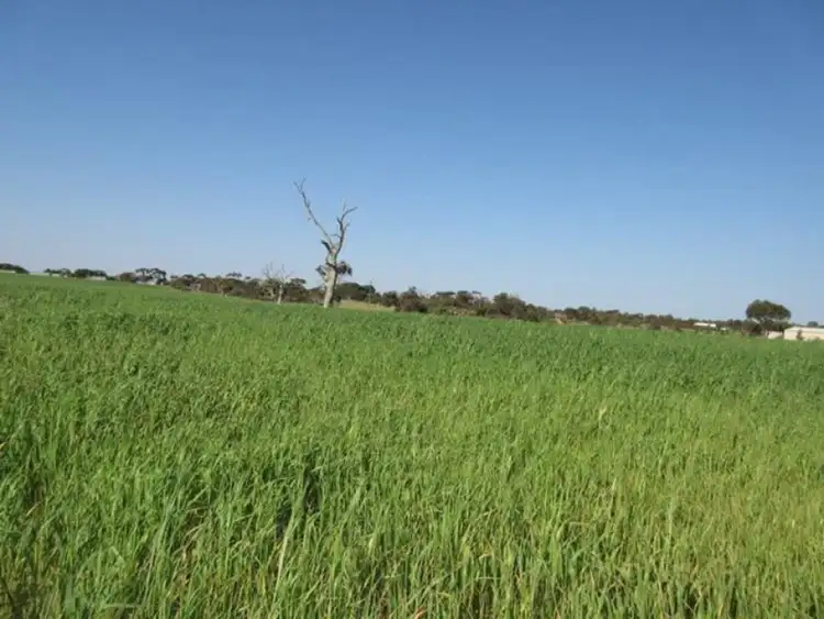 Third view of Homely land listing, Section 54 Finniss Milang Road, Finniss SA 5255