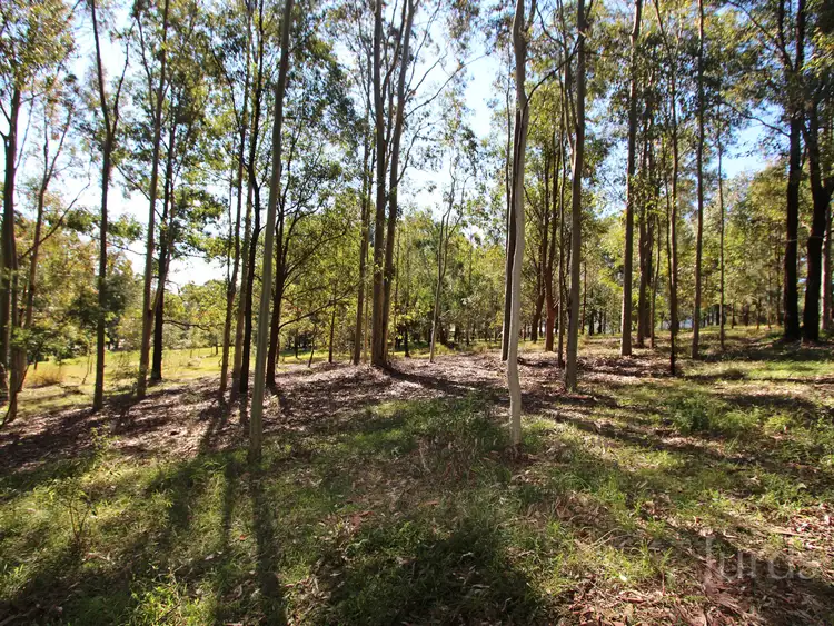 Sixth view of Homely rural property listing, 47 Leiberts La, Brunkerville NSW 2323